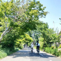 狭山・境緑道-サイクリングロード